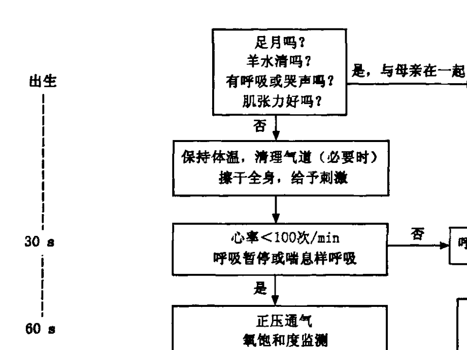 新生儿窒息复苏(2015年).ppt_第2页