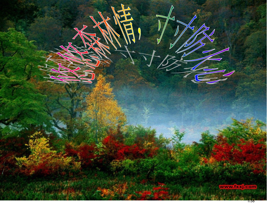 森林防火班会.pptx_第1页