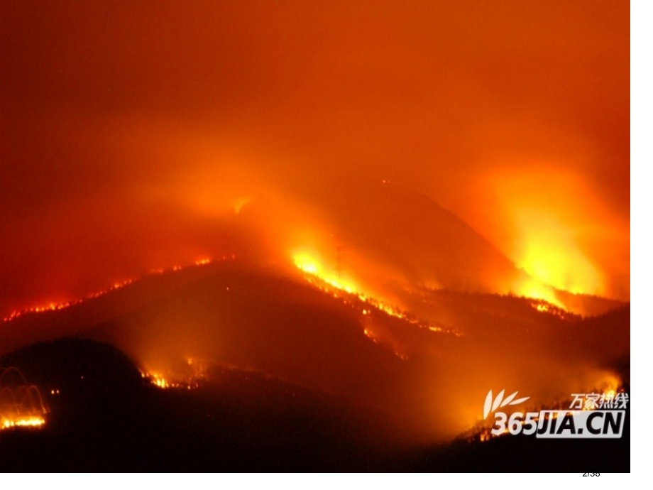 森林防火班会.pptx_第2页