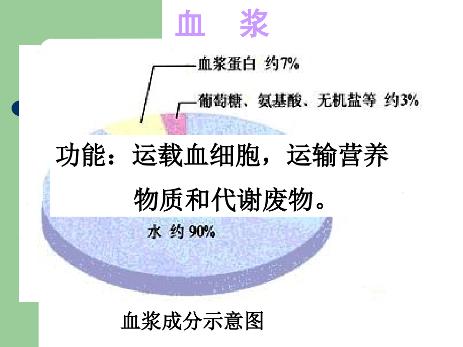 人教版七年级生物下册第四单元第四章人体内物质的运输复习课件(32).ppt_第2页