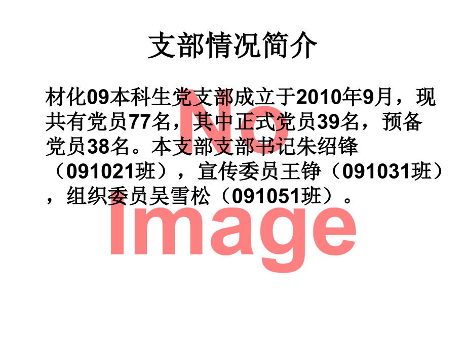 学生党支部工作总结.ppt_第2页