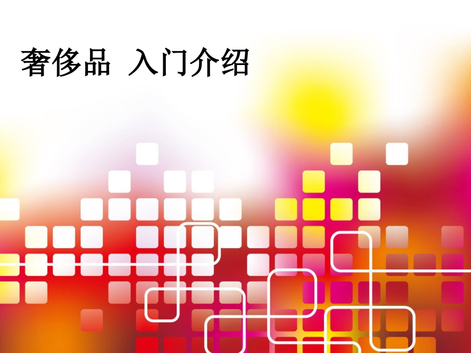 奢侈品-入门介绍.ppt_第1页