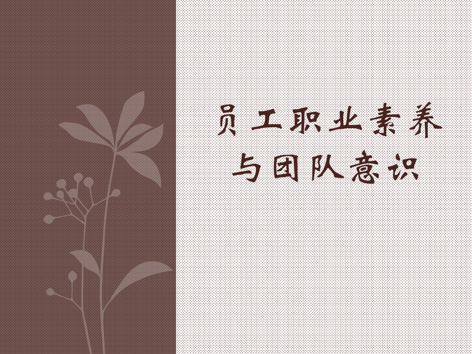 员工职业素养与团队意识.pptx_第1页