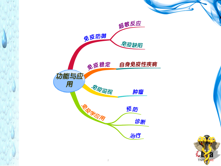 医学免疫学10.T淋巴细胞-.ppt_第2页