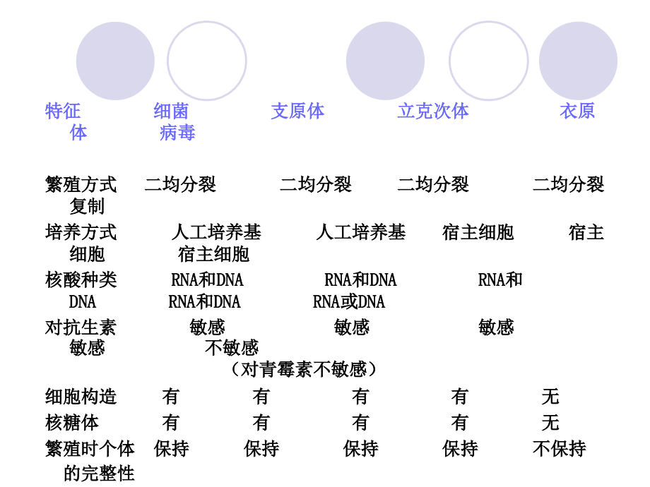 微生物学第四节支原体、立克次氏体、衣原体.ppt_第2页