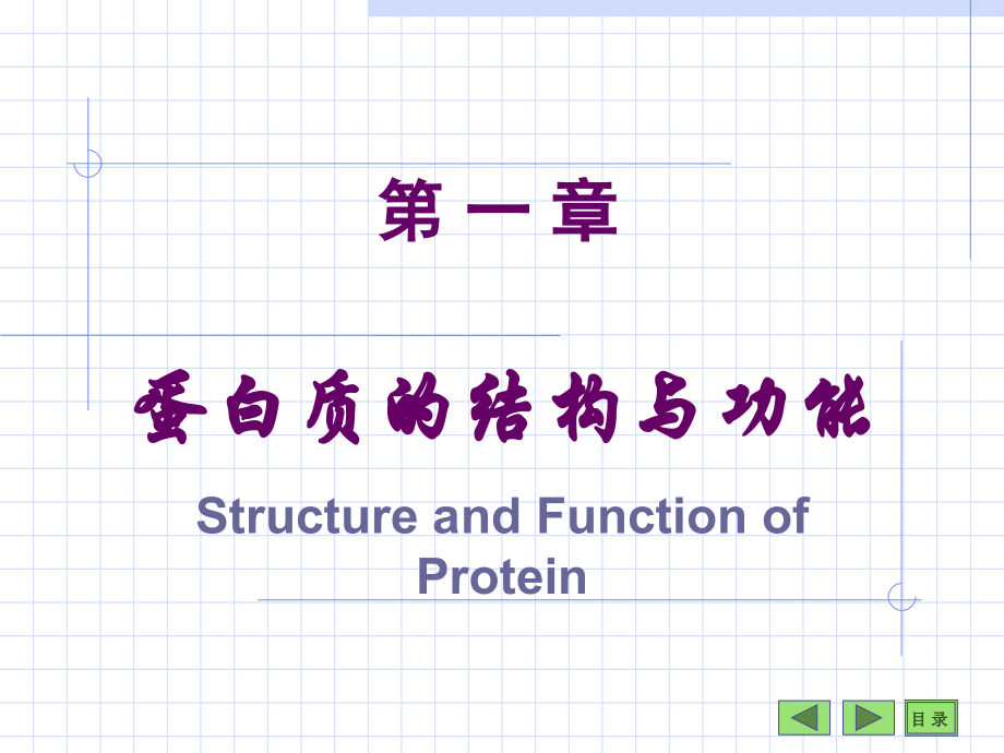 植物生理学1.ppt_第1页