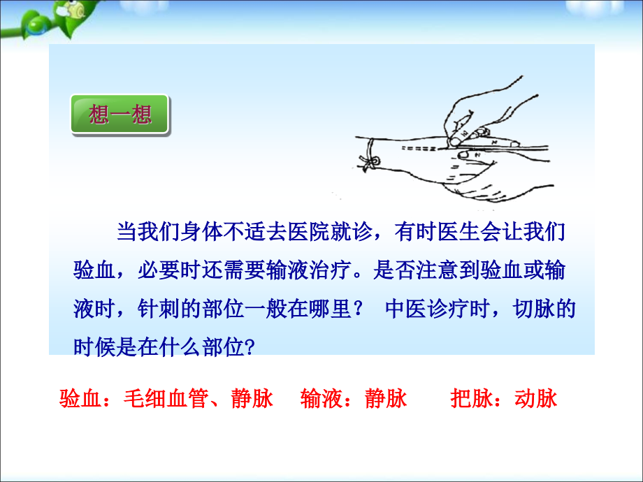 人教版七年级生物下册-：第四单元第四章第2节血流的管道——血管(共35张).ppt_第2页