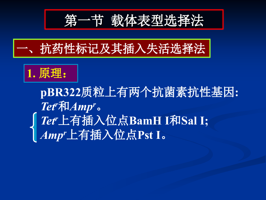 基因工程2重组体克隆的筛选和鉴定.ppt_第1页