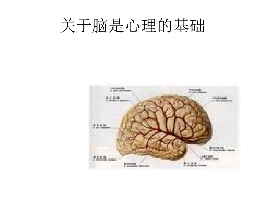 医学心理学心理过程.ppt_第2页
