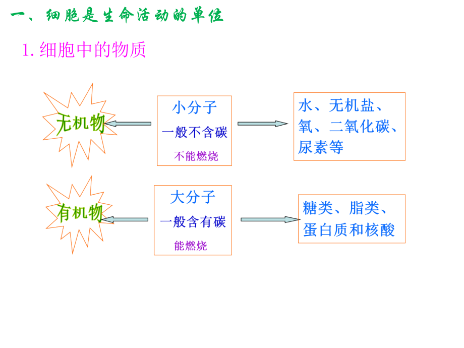 专题二生物体的结构层次(第三课).ppt_第1页