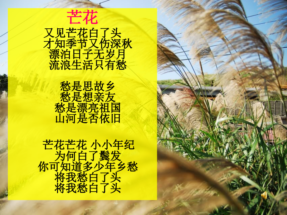 可以预约的雪公开课优秀.pptx_第1页