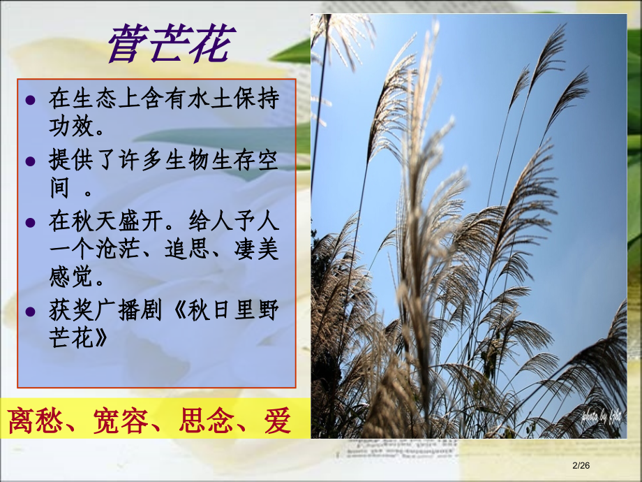 可以预约的雪公开课优秀.pptx_第2页