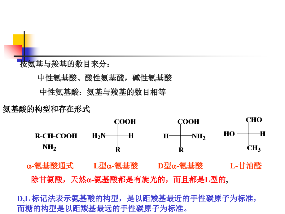 有机化学第15章氨基酸多肽与蛋白质.ppt_第1页