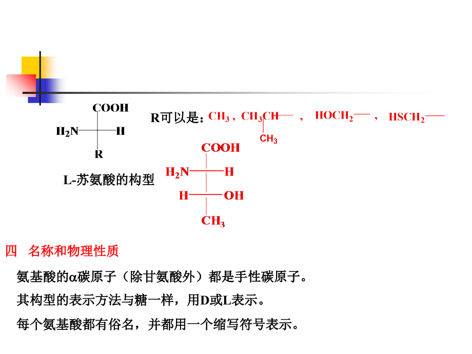 有机化学第15章氨基酸多肽与蛋白质.ppt_第2页