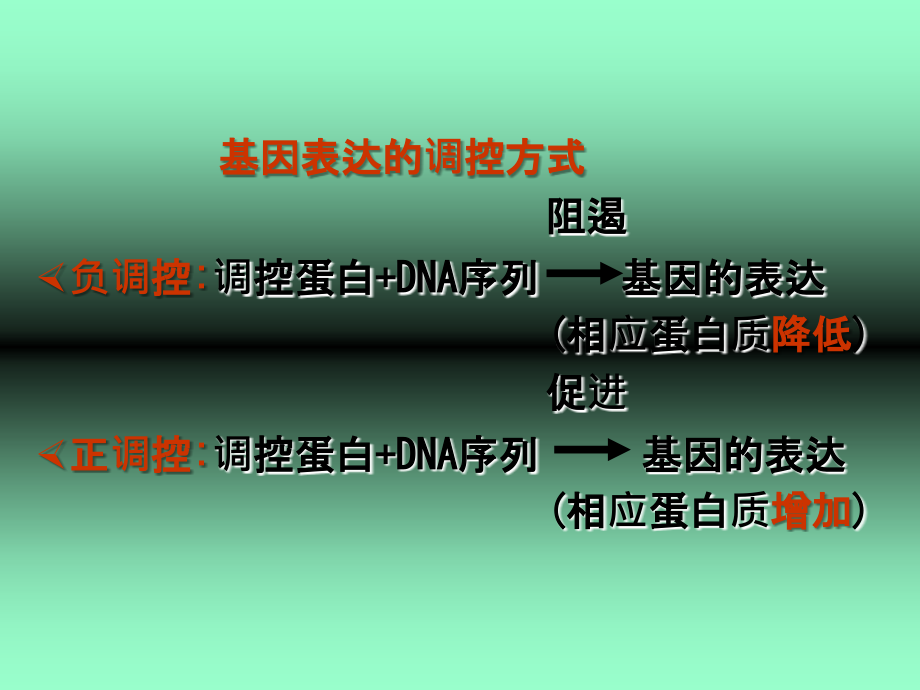 基因的表达调控与癌基因.ppt_第2页