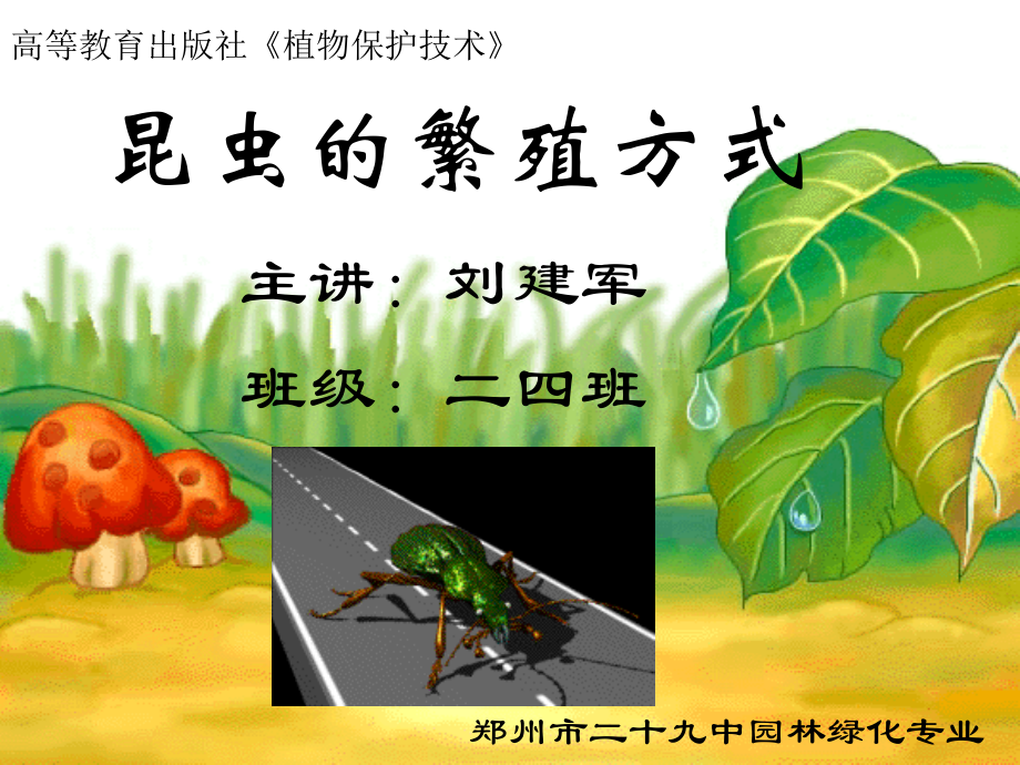 昆虫的繁殖方式.ppt_第1页