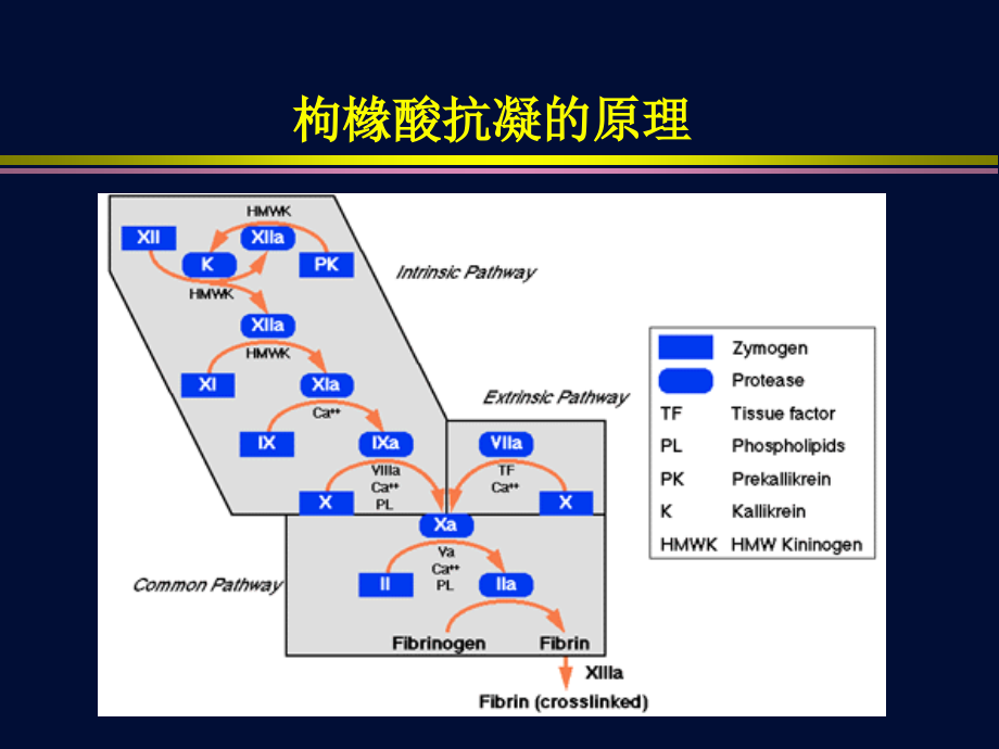 CRRT的局部枸橼酸抗凝(1).ppt_第2页