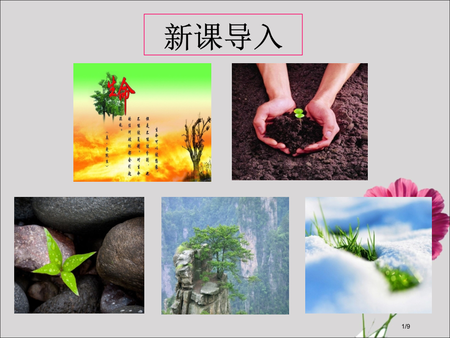 15、散文二篇之《永久的生命》1115.pptx_第1页