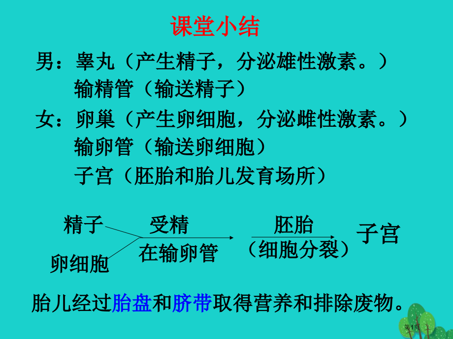 八年级生物上册婴儿的诞生婴儿的诞生课堂小结省公开课一等奖百校联赛赛课微课获奖PPT课件.pptx_第1页