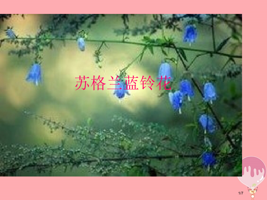 六年级音乐上册第七单元苏格兰的蓝铃花全国公开课一等奖百校联赛微课赛课特等奖PPT课件.pptx_第1页