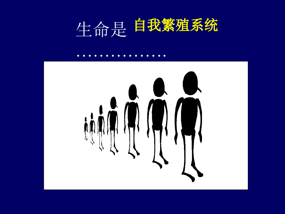 DNA的生物合成-化药.ppt_第2页