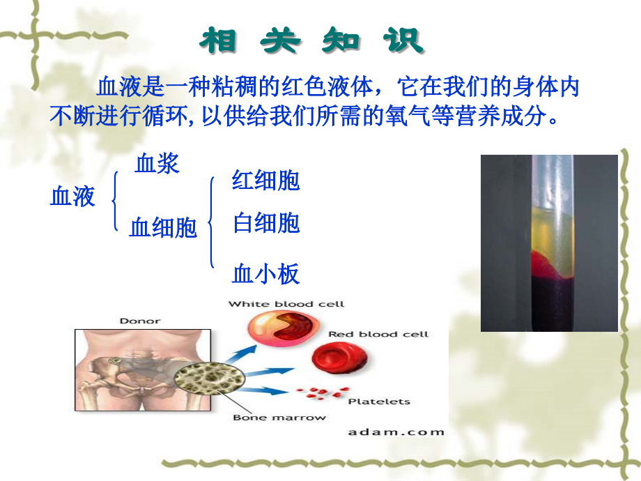 临床化验.ppt_第2页