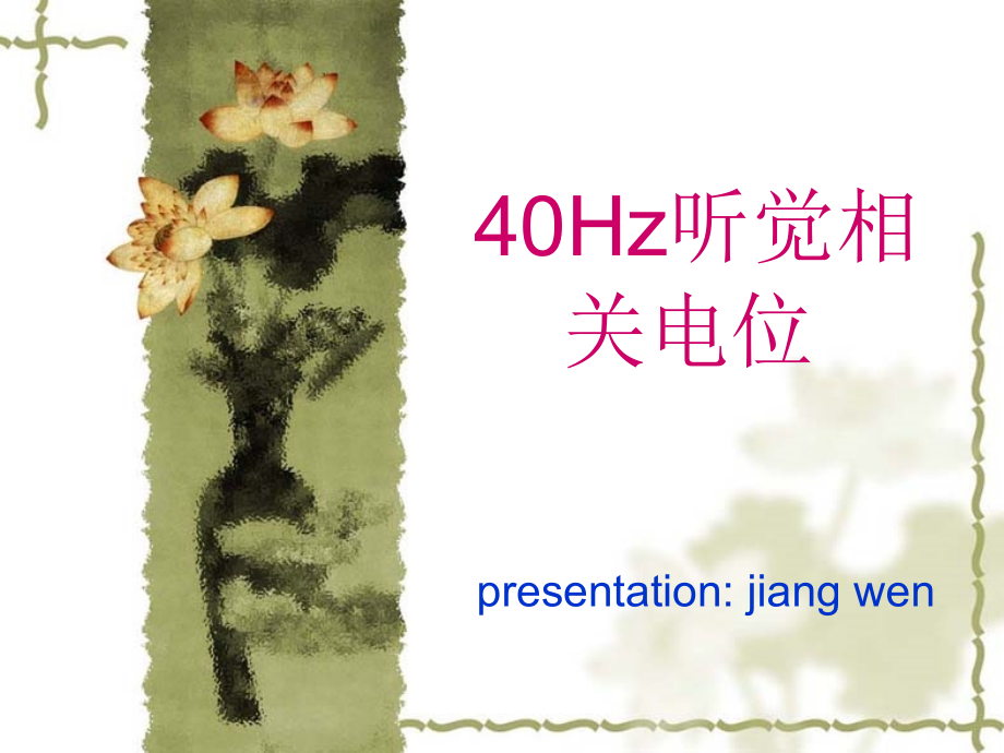 Hz听觉相关电位.ppt_第1页