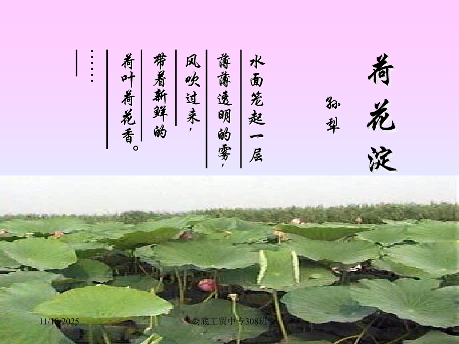《荷花淀》-修改版.ppt_第1页