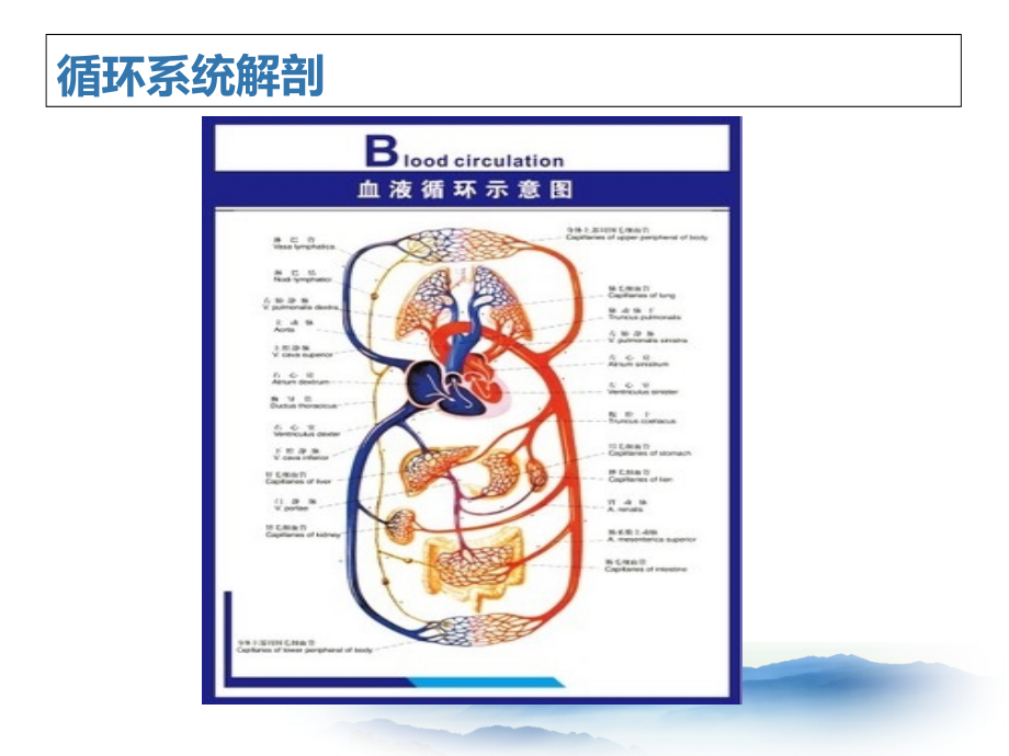 中医老年病学-高血压病.ppt_第1页