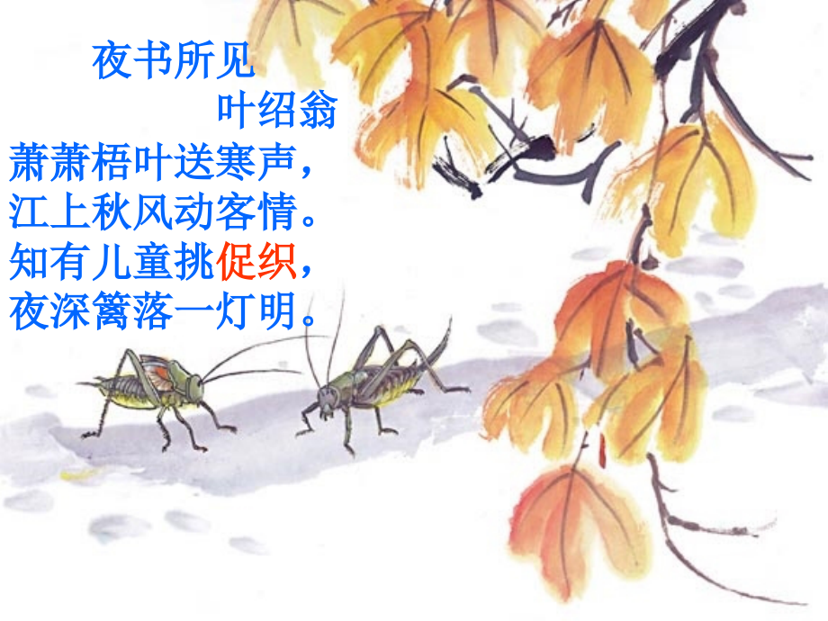 《蟋蟀的住宅》课件.ppt_第1页