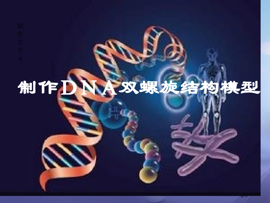 九年级科学下册1.5遗传与进化3全国公开课一等奖百校联赛微课赛课特等奖PPT课件.pptx_第2页
