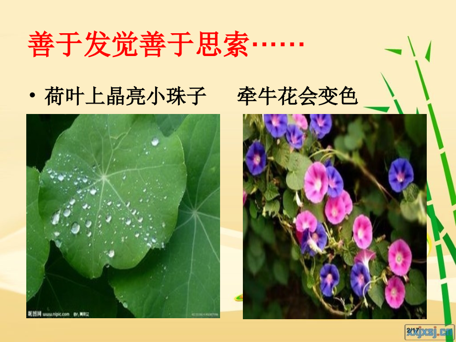 四下第三单元-《我的发现》省公开课金奖全国赛课一等奖微课获奖PPT课件.pptx_第2页