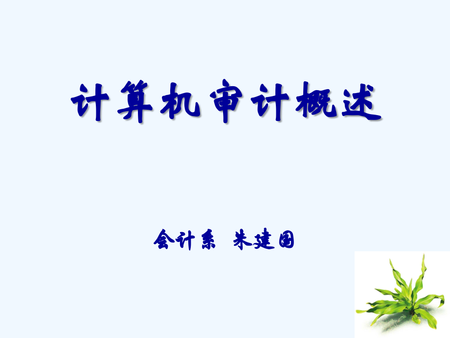 计算机审计概述.ppt_第1页