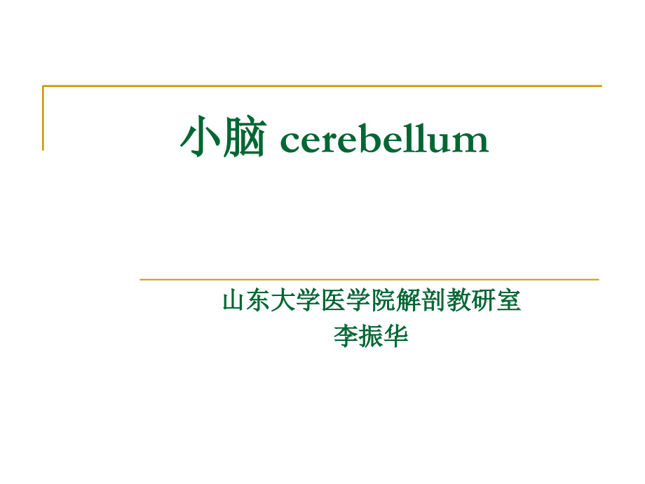 7-小脑-cerebellum.ppt_第1页