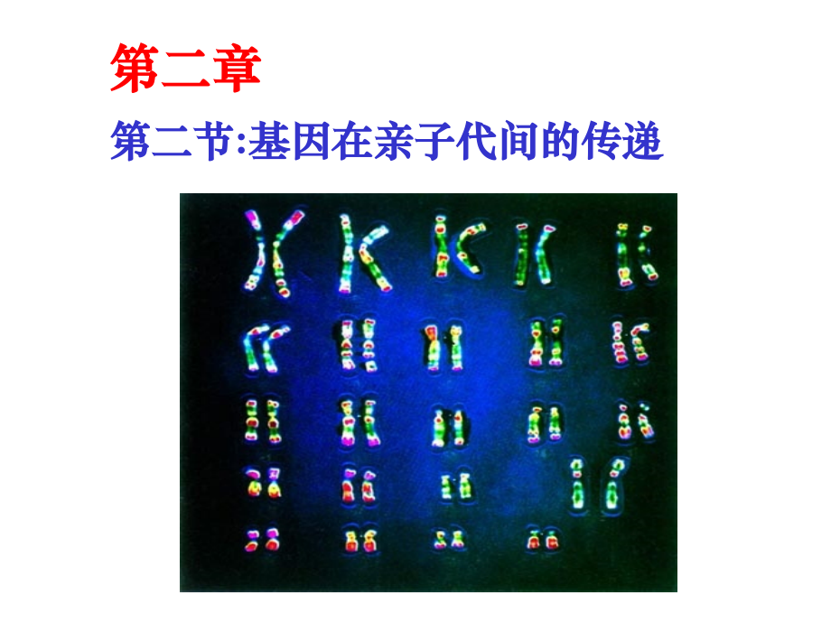 (15张)第二章第二节基因在亲子代间的传递.ppt_第1页