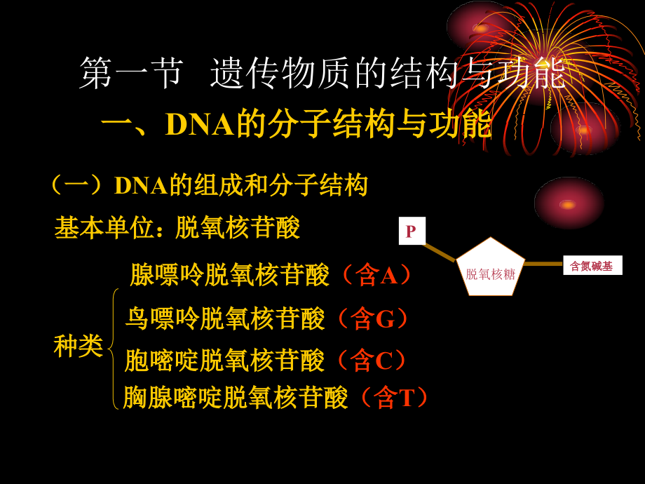 (第二章遗传的分子学和细胞学).ppt_第2页