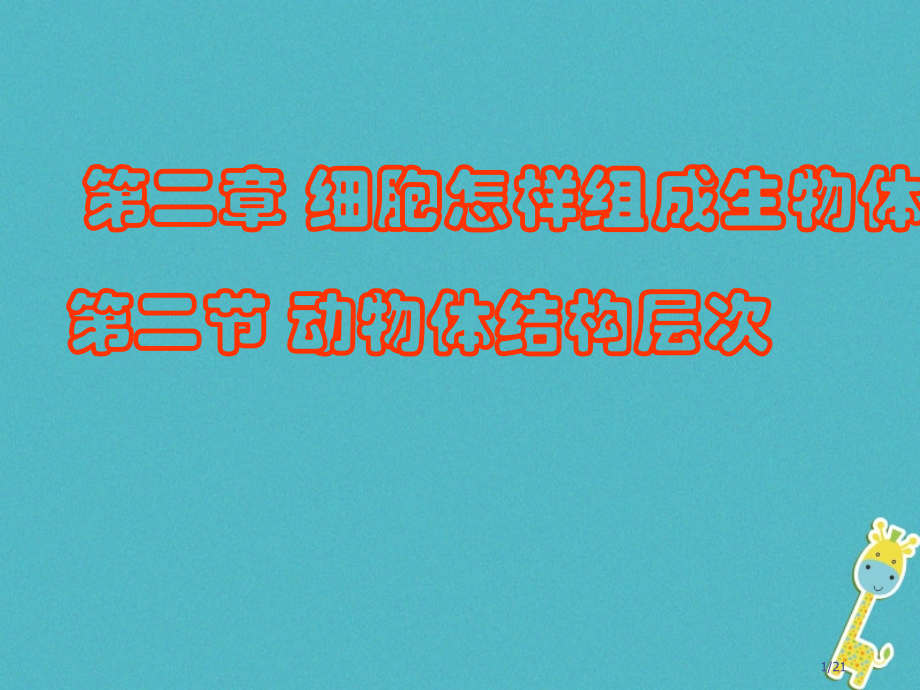 七年级生物上册第二单元第二章第二节动物体的结构层次市赛课公开课一等奖省名师优质课获奖PPT课件.pptx_第1页