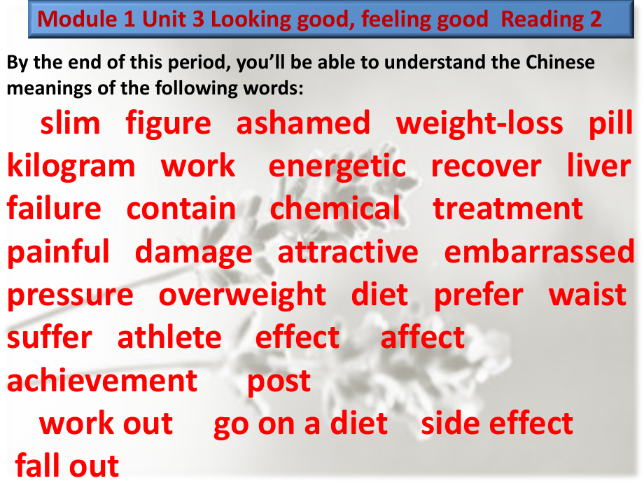 Module-1-Unit-3-Looking-good--feeling-good-Reading.pptx_第2页