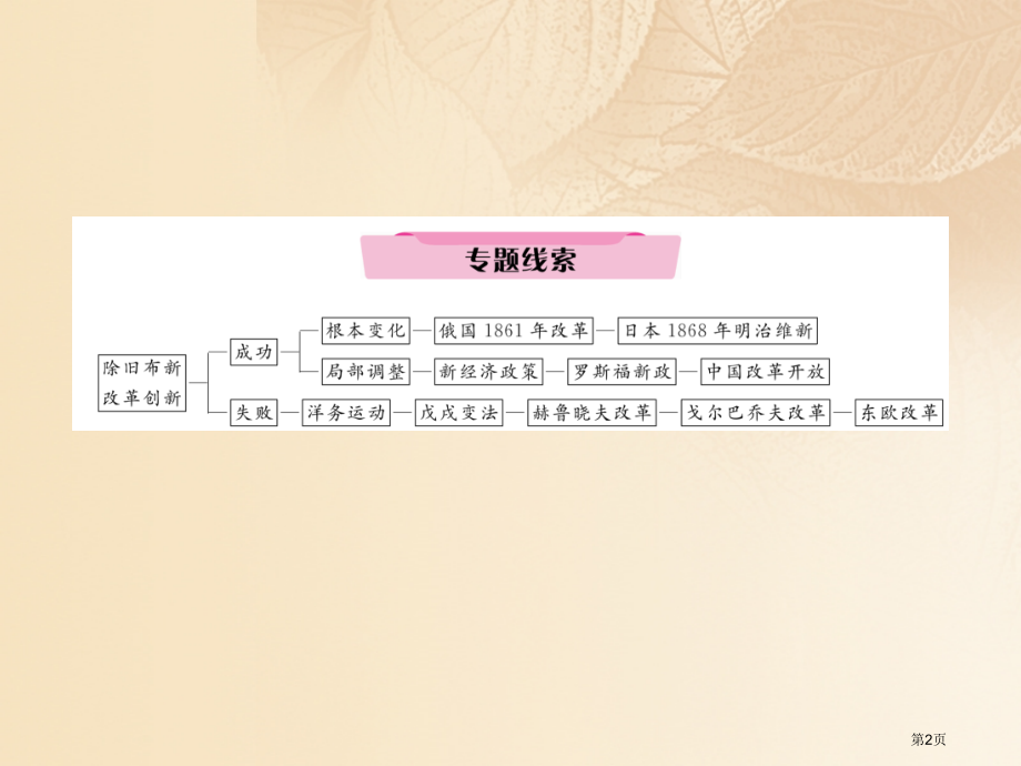 中考历史总复习第二编热点专题速查篇专题6激浊扬清除旧布新—重要改革与制度创新精讲省公开课一等奖百校联.pptx_第2页