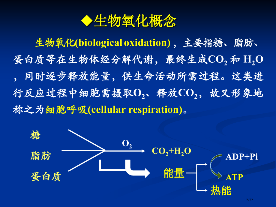 生物氧化省公开课金奖全国赛课一等奖微课获奖PPT课件.pptx_第2页