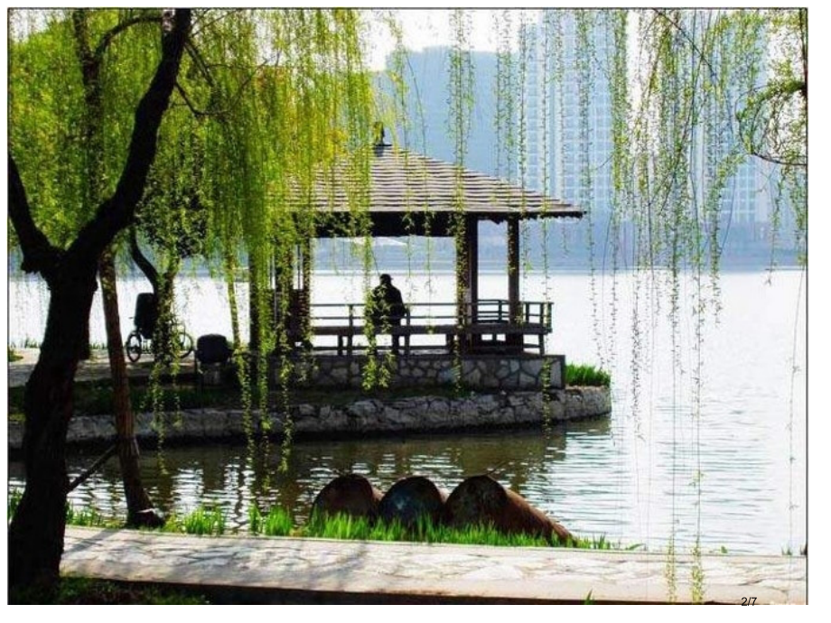 牛津苏教六下Unit8Reviewandcheck市公开课一等奖省赛课微课金奖PPT课件.pptx_第2页