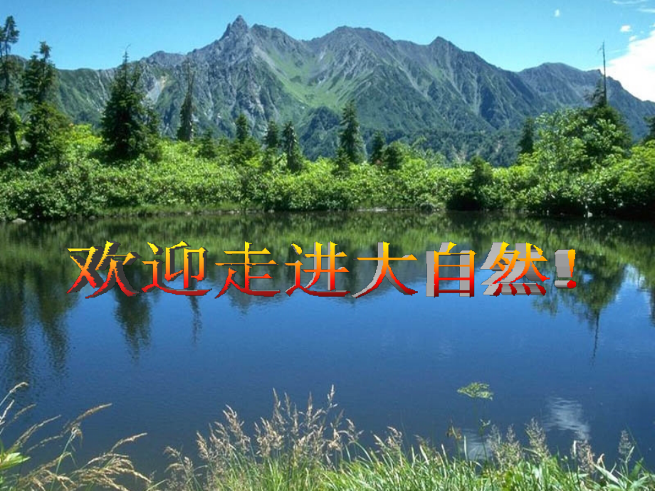 (教科版)五年级科学上册-岩石会改变模样吗.ppt_第2页