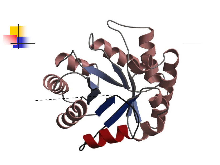 Molecular-Biology--1.ppt_第1页