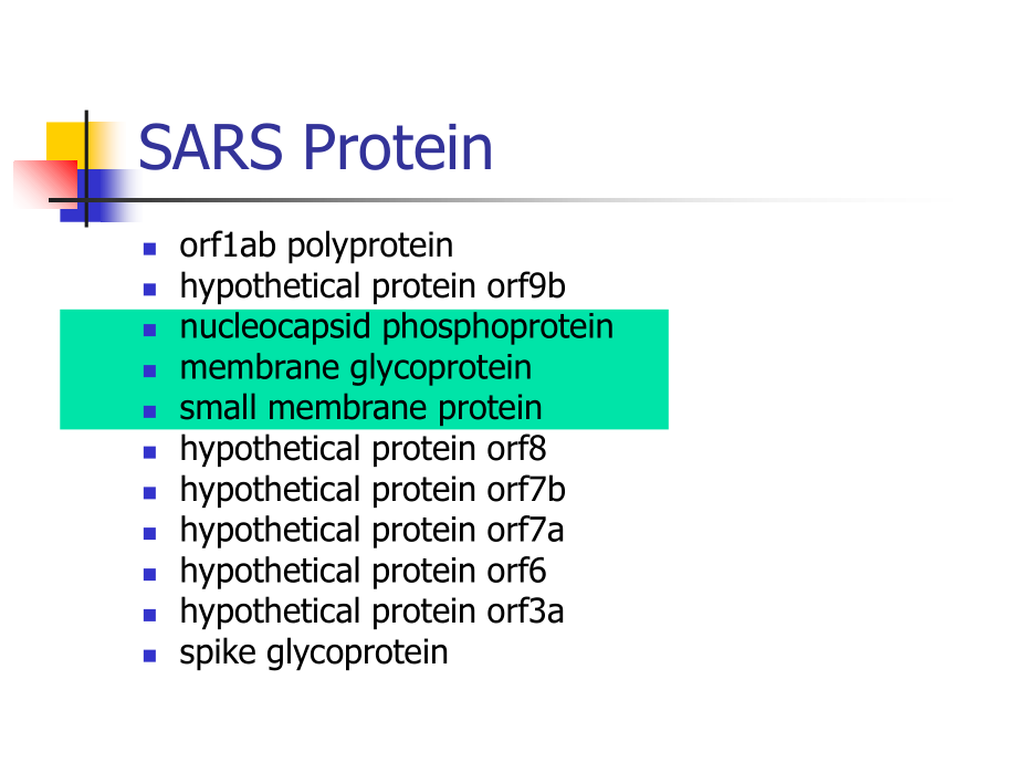 Molecular-Biology--1.ppt_第2页
