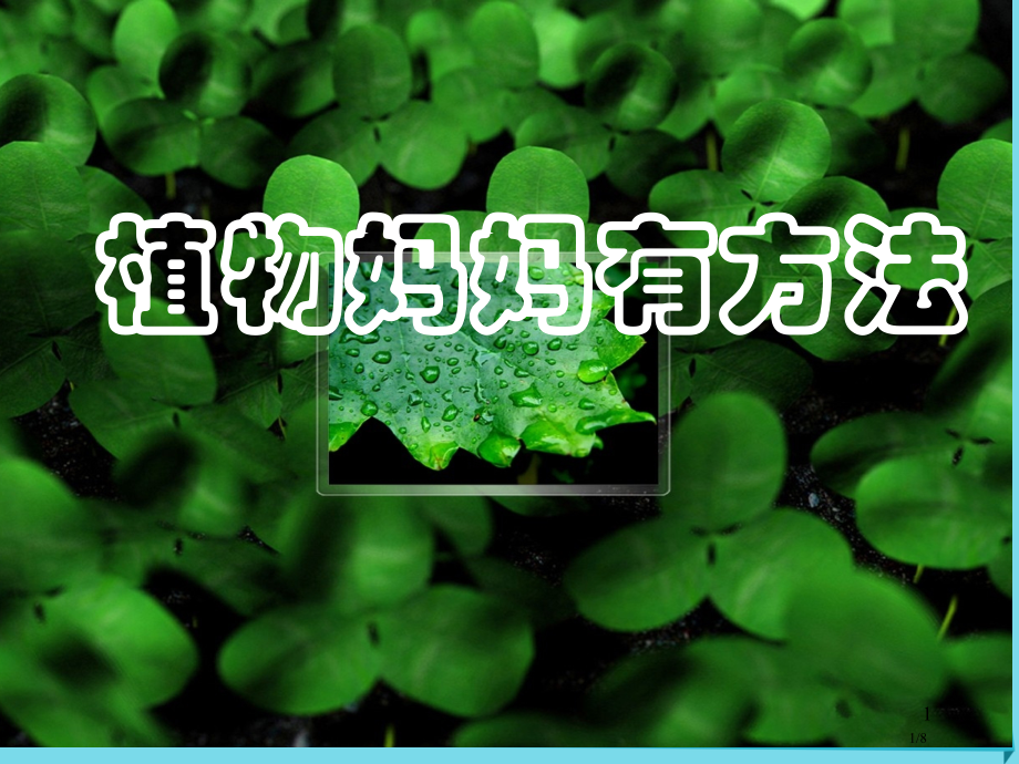 二年级语文上册第7课植物妈妈有办法参考全国公开课一等奖百校联赛微课赛课特等奖PPT课件.pptx_第1页
