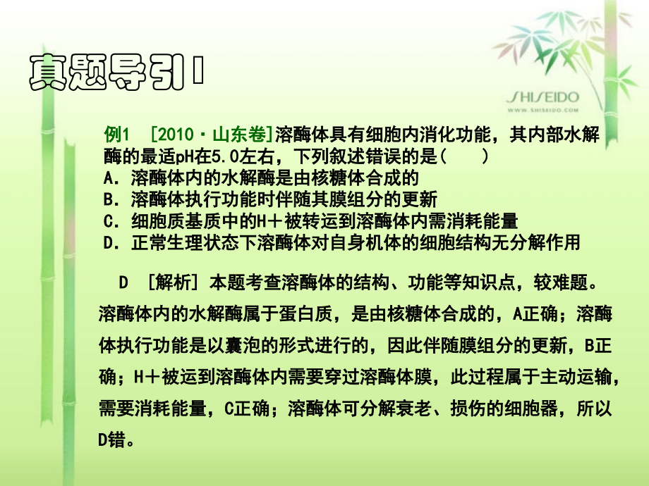 《细胞器--系统内的分工合作》.ppt_第2页