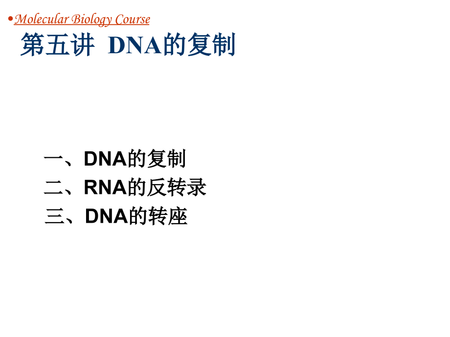 DNA的复制1.ppt_第2页