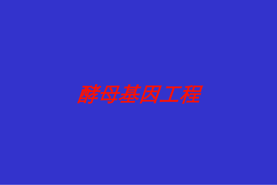 酵母基因工程培训课件.ppt_第1页