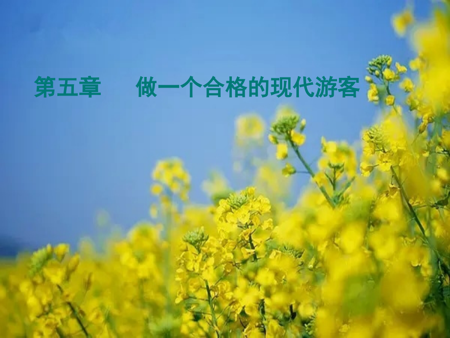 《设计旅游活动》-(2).ppt_第1页