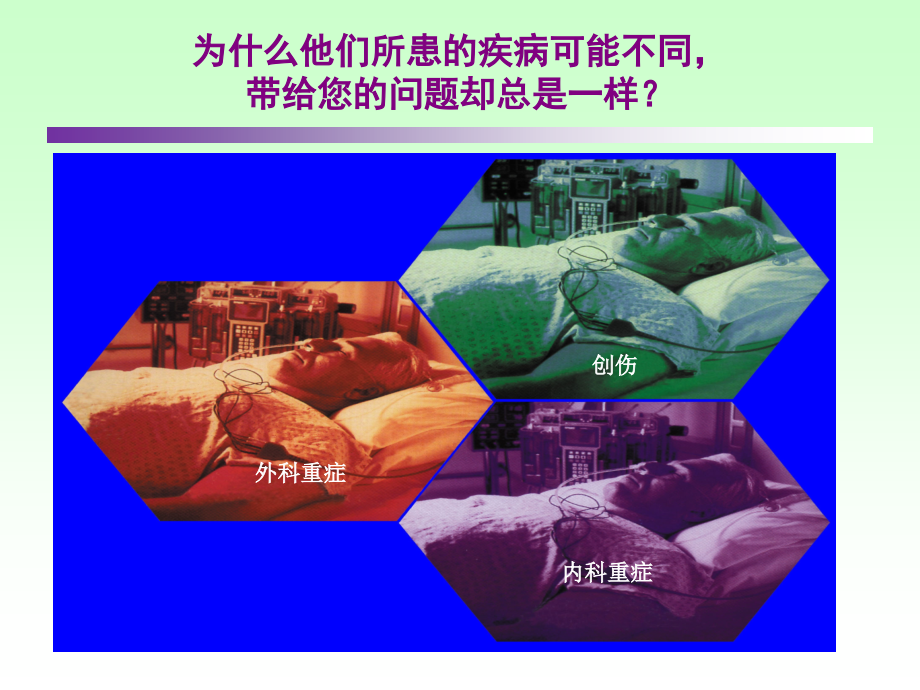 个体化肠外营养治疗.ppt_第2页